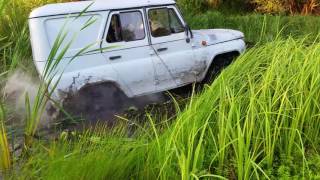 Уаз на вл 30 (алтайшина 30 ) по болоту едет как по асфальту. Тест резины.