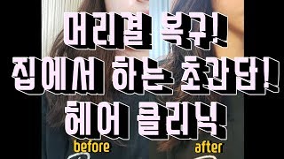 손상된 머리결 집에서 홈케어로! 두피 관리, 머리결 관리!