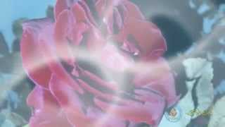 Переходы из вуали SRSem