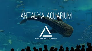 Antalya Aquarium, Turkey