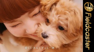 あさぎーにょのオリジナル楽曲「ごきげんよう」が公開！ルルルン「ごきげんかるた」