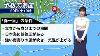 明日は各地で「春一番」の可能性