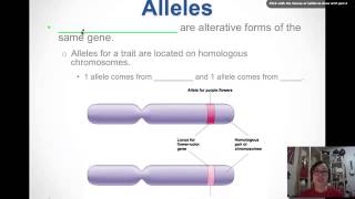 Intro to Genetics