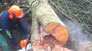 Бензопила Stihl ms 660