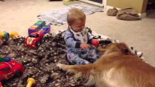 Sweetest baby and dog relationship