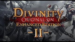 Divinity Original Sin Enhanced Edition Прохождение Ч.2