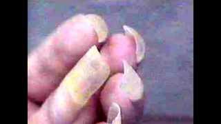 Evelyn 2 - Long natural fingernails