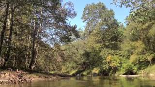 Kayaking the Patapsco River from Daniels