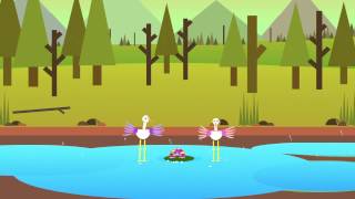 The Boastful Tortoise - Fables by SHAPES (HD)
