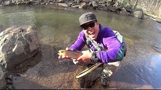 W4F - Fly Fishing "Eastern Pennsylvania"