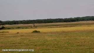 Operation Migration Live Stream