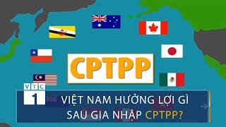 Gia nhập CPTPP, kinh tế Việt Nam đột phá không còn "xa xỉ"