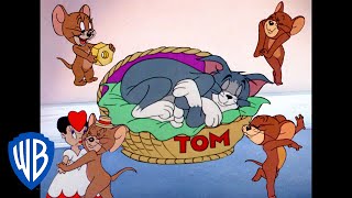 Tom und Jerry auf Deutsch | Der freche Jerry | WB Kids