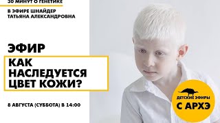 Детский эфир "Как наследуется цвет кожи?" в рамках рубрики "30 минут о генетике"