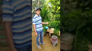 Budidaya klanceng(1)