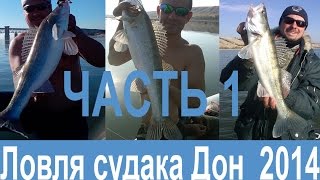Ловля судака - самый удивительный джиг. ZANDER WORLD. Дон 4-6.10.