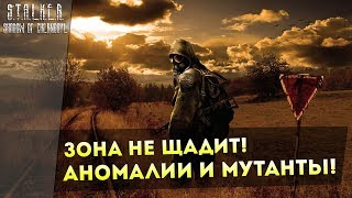 Зона не Щадит! Аномалии и МУТАНТЫ! S.T.A.L.K.E.R.: Тень Чернобыля!