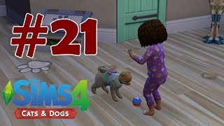 Yeni Köpeğimiz | The Sims 4 Cats & Dogs #21