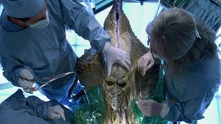 Это видео лишит вас сна! ПРАВДА ПРО Пришельцев! ГДЕ ЖИВУТ Инопланетяне? НЛО