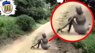 5 Unexplained Sightings Caught On Tape (ft. SlappedHam)