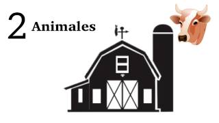 Te explicamos cómo tener una granja autosustentable en media hectárea