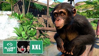 ? Schimpansen Gehege | Habitat | Speed Build | Planet Zoo | Franchise | #007 | Deutsch