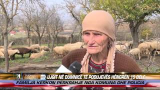 Ujqit ne Dumnice te Podujeves hengren 15 dele 07.11.2014