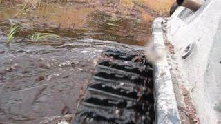 Argo The Jackfish Run