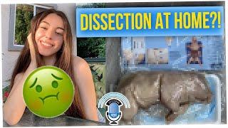 Physiology Student Sent a Whole Pig for School Assignment (ft. AJ Rafael)