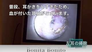 耳掃除(左耳)　ボニータ・ボニート