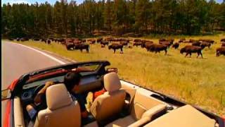 Travel SD - Custer