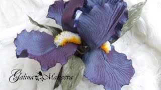ИРИС ИЗ АТЛАСА Часть 2