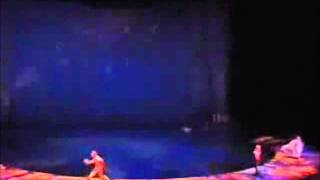"O" Cirque du Soleil pt 5