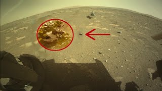 Снимок с Марса потряс ученых! Объект похожий на существо. Марсоход Curiosity и Шампо