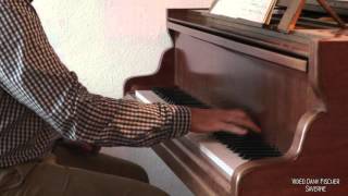 Marc MANOEL  "Concerto pour main gauche" (extraits) Ravel  - vidéo Dany Fischer