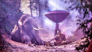 Beautiful Relaxing Morning Music | Positive Energy 432Hz | Miracle Healing Tone | Meditation Music