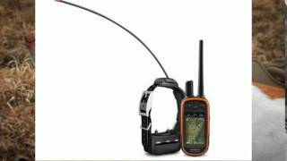 gps ошейник для собак