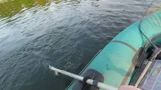 Щука на Тсу Еки Шанс 28.08.2018