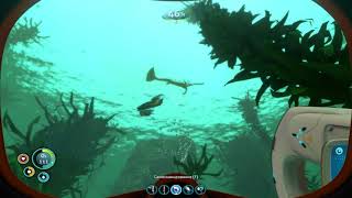 Subnautica #14 Огромный кальмар. Вторая база Дегази.