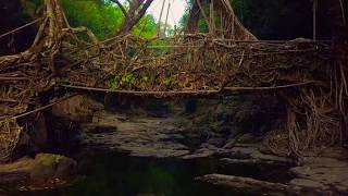 Emiway Bantai Dhyande || Dhyande || By Gangbang