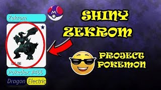 SHINY ZEKROM FINALLY! PROJECT POKEMON / ROBLOX / MASTER BALL!