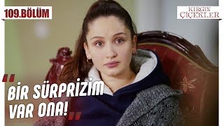 Songül’ün evlilik yıl dönümü planı! - Kırgın Çiçekler 109.Bölüm