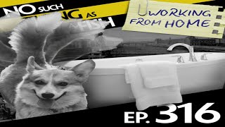 [No Such Thing As A Fish] #316: No Such Thing As a Leg Made from Milk