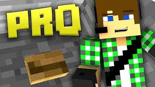 Minecraft - Trova il bottone versione PRO