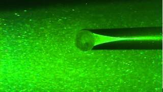 UT CAEE PIV Wave motion simulation