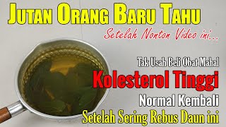 SETELAH NONTON VIDEO INI, CARI SEGERA TANAMAN INI SEBAGAI PERSEDIAAN DI RUMAH