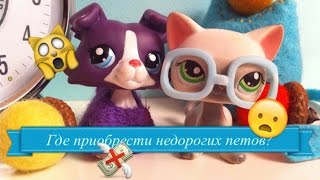 LPS: Где недорого купить редких петов?