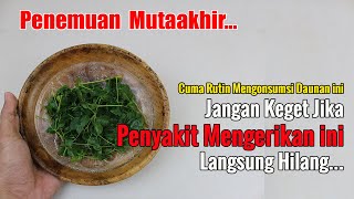 BARU TERUNGKAP.. TAK PERLU UBAT MAHAL, PAKAI INI SAJA, JANGAN HERAN JIKA BANYAK PERUBAHAN PADA TUBUH