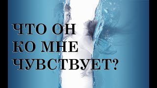 ЧТО ОН КО МНЕ ЧУВСТВУЕТ?