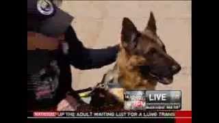 Blind veteran paired up with Fidelco Guide Dog - NECN